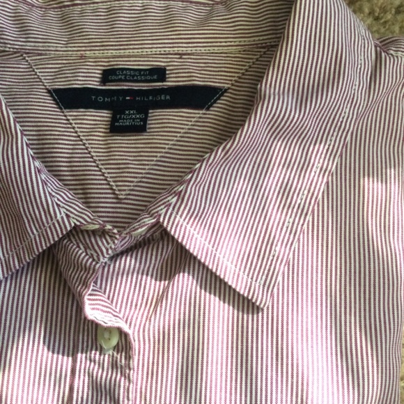 TOMMY HILFIGER Roll-Tab Button-Up Shirt Maroon and White Stripes [CLEAR… - Picture 6 of 7